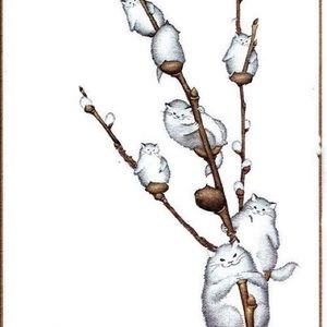 Meet your Posher, Carol